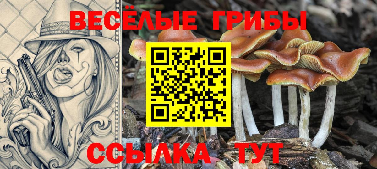 Псилоцибиновые грибы Magic Shrooms  Вход с VPN  Скопин 